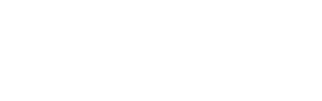 Pursuit Solutions