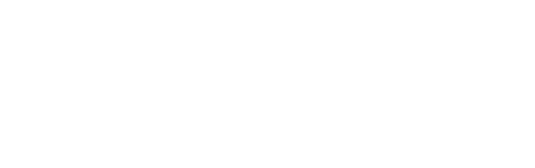 Pursuit Solutions